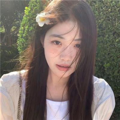 帝国玫瑰