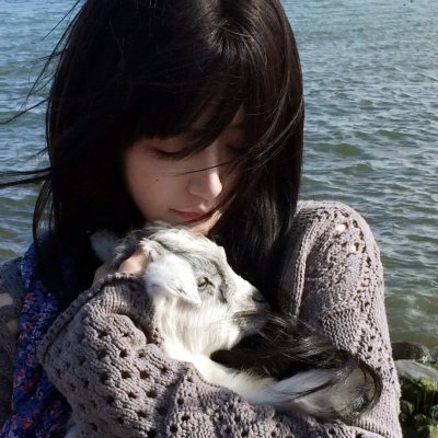 狩猎狗(电影)
