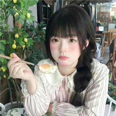 小象寻母